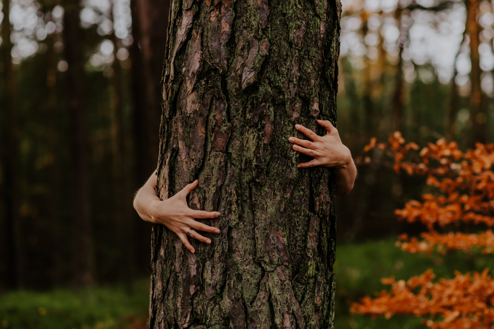 Naturalna ciążowa sesja zdjęciowa w plenerze